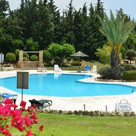 Limnaria Villas Sunny Garden Apartment Paphos Extérieur photo
